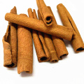 Cigarro de canela 100% natural de alta qualidade e corte de cassia com melhor preço